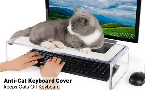 Fake Keyboard For Cats